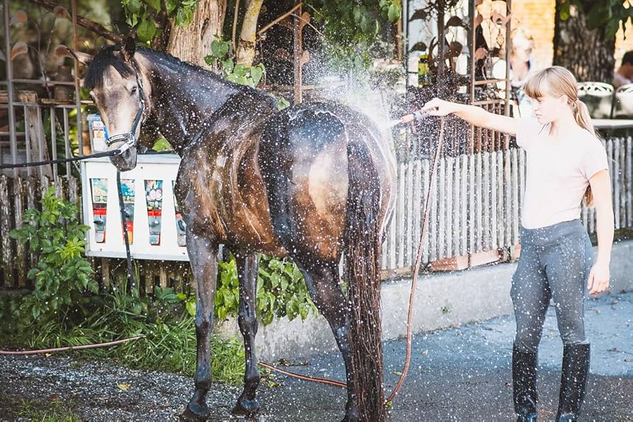 How to prevent horse coat fading